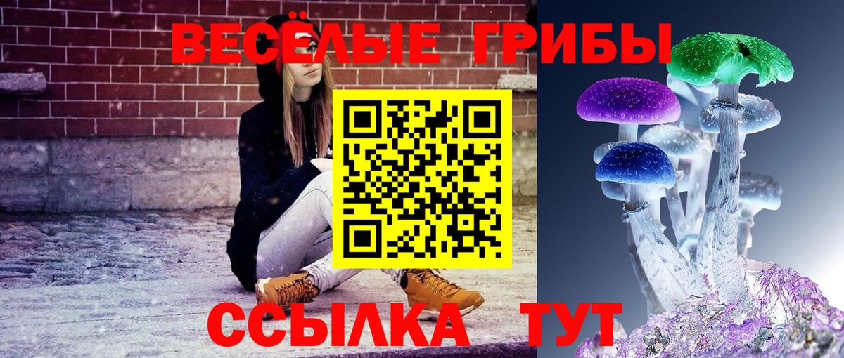 Псилоцибиновые грибы MAGIC MUSHROOMS  Вход с VPN  Артём 